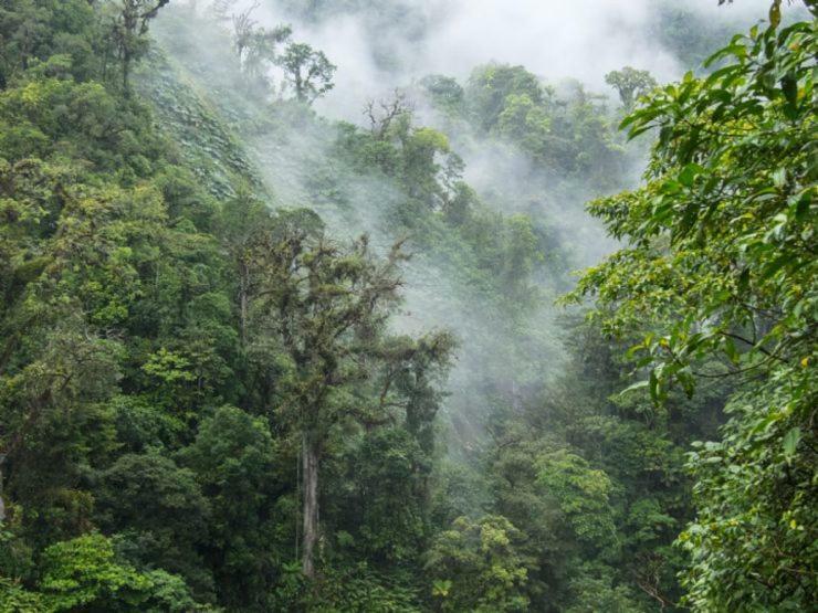 Hostel California Monteverde 외부 사진
