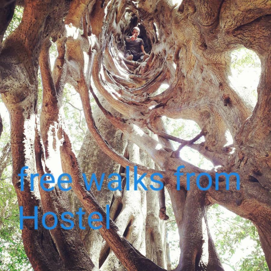 Hostel California Monteverde 외부 사진